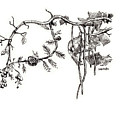 Treeproduction - September 2023