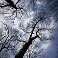Unsettled Skies - February 2024